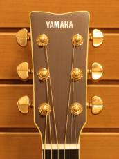 YAMAHA LL16 ARE / BS_8