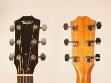 Taylor 214ce CF DLX【2019年製】【エレアコ】_6