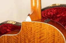 Taylor 214ce CF DLX【2019年製】【エレアコ】_9