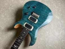 Paul Reed Smith [PRS] SE CUSTOM 24【現物画像・3.31kg】_5