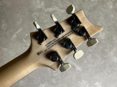 Paul Reed Smith [PRS] SE CUSTOM 24【現物画像・3.31kg】_11