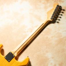 Tokai AST-102 VNT/M_6