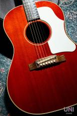 Gibson 1960's B-25 Cherry / 2009