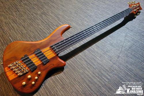 SCHECTER STILETTO STUDIO 5 FANNED FRET [AD-SL-ST-5-FF]