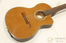 Ibanez GA38STCE-NY-2Y-01 【返品OK】[OL574]【神戸店在庫】