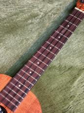 Kamaka HF-2L Concert Long Neck #250542 【コンサート/ロングネック】【48回金利0%対象】【送料込】_7