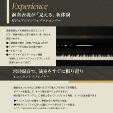 Casio  CELVIANO AP-750BK【最大48回分割手数料無金利】【ピアノ設置配送あり】【G-CLUB渋谷web】_6