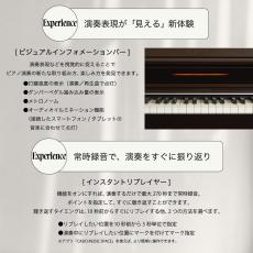 Casio  CELVIANO AP-S450WH(ホワイト)【最大48回分割手数料無金利】【ピアノ設置配送あり】【G-CLUB渋谷web】_6