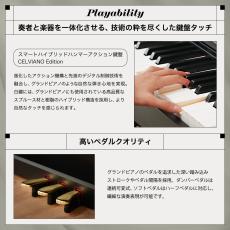 Casio  CELVIANO AP-550BK(ブラック)【最大48回分割手数料無金利】【ピアノ設置配送あり】【G-CLUB渋谷web】_5