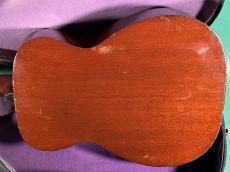 Martin R-17_3