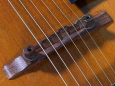 Gibson L-48_10