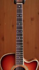 K.Yairi YF-00028 Custom_5