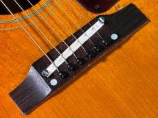Gibson J-160E_10