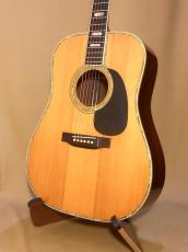 Martin D-45_2