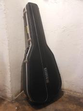 Martin D-45_10