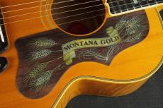 Gibson MONTANA GOLD_12