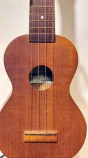 Famous COCOANUT UKULELE No.202_2