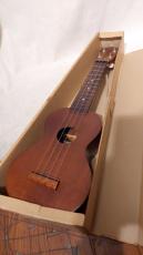 Famous COCOANUT UKULELE No.202_6