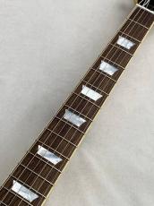 Epiphone 【緊急入荷!】Tak Matsumoto 1955 Les Paul Standard Antique Gold #24111529387 【3.80kg】【即納】_5