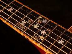 Terry's Casual TC-J7 ”Cherry”【テリー中本氏監修 ”桜モデル” 本家テリーズテリー同様素晴らしいクオリティー! ピックアップ搭載のおススメのモデルです! 】解説試奏動画ご覧ください。_11