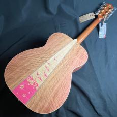 Headway HF-SKR24SF S-ESU/ATB_6