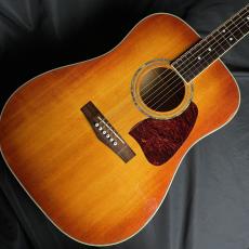 Ibanez AW200