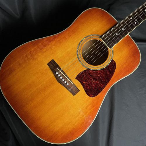 Ibanez AW200