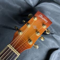 Ibanez AW200_3