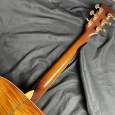 Ibanez AW200_5