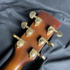 Ibanez AW200_6