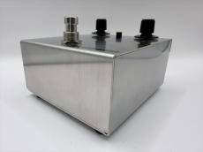 Lemon & Ginger muzz_2