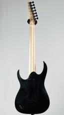 Ibanez 【SPOT生産】【Premiumシリーズ】 RGA217P1PB - Deep Twilight Burst Low Gloss-【NEW】_4