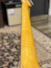 Fender American Vintage II 1961 Stratocaster 3-Color Sunburst【フェンダー】_8