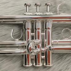 YAMAHA YTR-5335GSIILSE_3