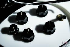 Rickenbacker 325 V63 / 1989_5