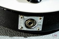 Rickenbacker 325 V63 / 1989_6