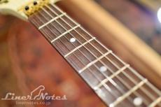 ESP FLYING A-II Left Handed (THE ALFEE/高見沢俊彦モデル)_5