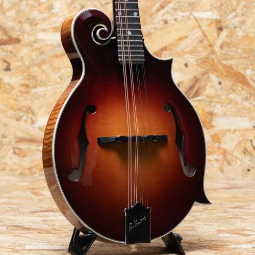 Gibson F-5G Dark Burst