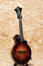 Gibson F-5G Dark Burst_3