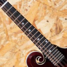 Gibson F-5G Dark Burst_6