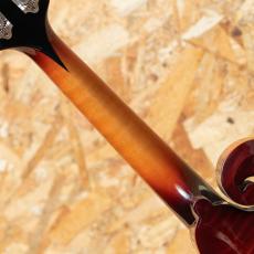 Gibson F-5G Dark Burst_7