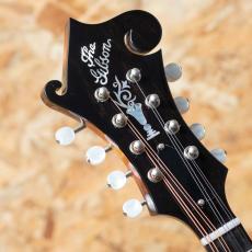 Gibson F-5G Dark Burst_8