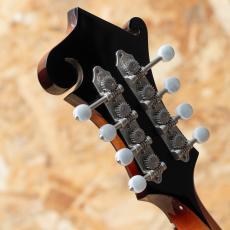 Gibson F-5G Dark Burst_9