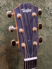 Taylor 224ce-Koa DLX C-Class Bracing #2203315294【48回迄金利0%対象】_4