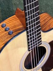 Taylor 214ce Plus #2203042107【48回迄金利0%対象】【送料当社負担】_3