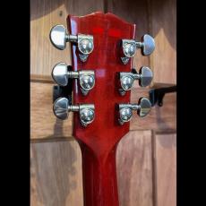 Gibson ES-335_5