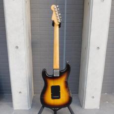 FERNANDES FST-65T 石ロゴ_4