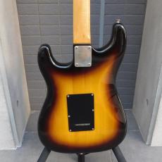 FERNANDES FST-65T 石ロゴ_6