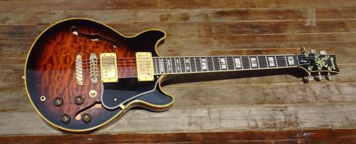 Ibanez AM205AV