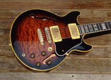 Ibanez AM205AV_2